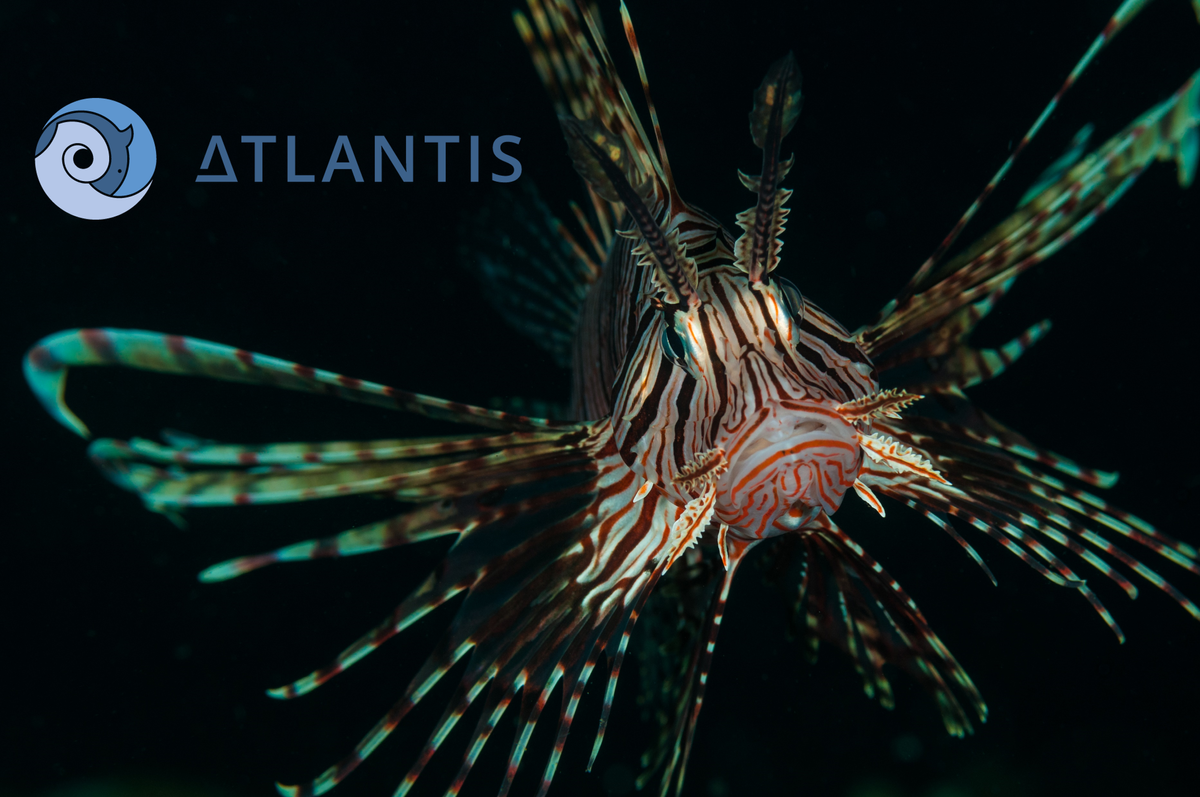 Publication: Effect factors for marine invasion impacts on biodiversity