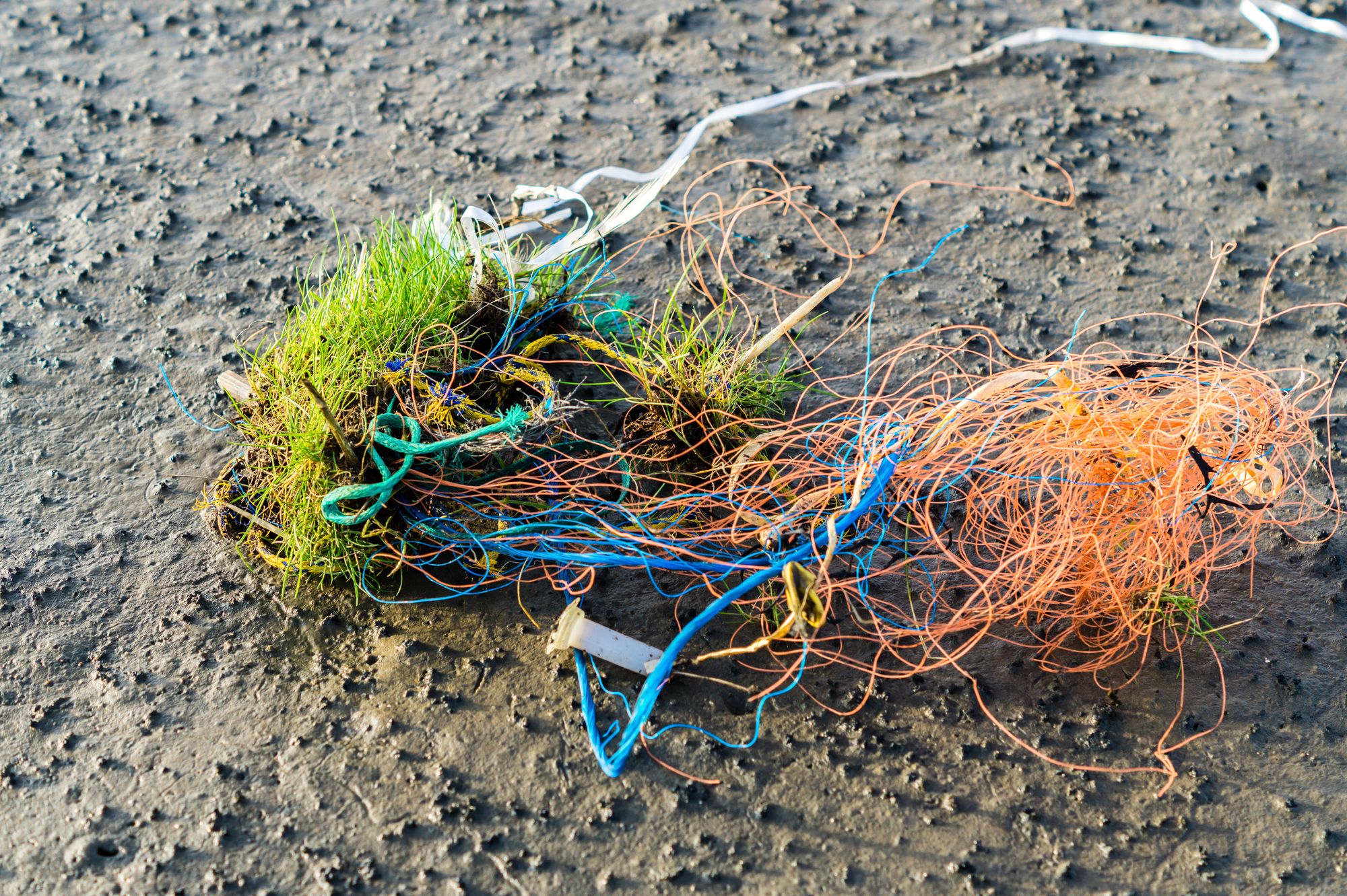 Plastic in fisheries and aquaculture floods to Norwegian sea
