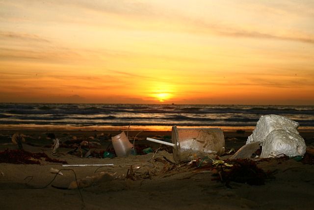 The ocean plastic pollution from a Norwegian perspective