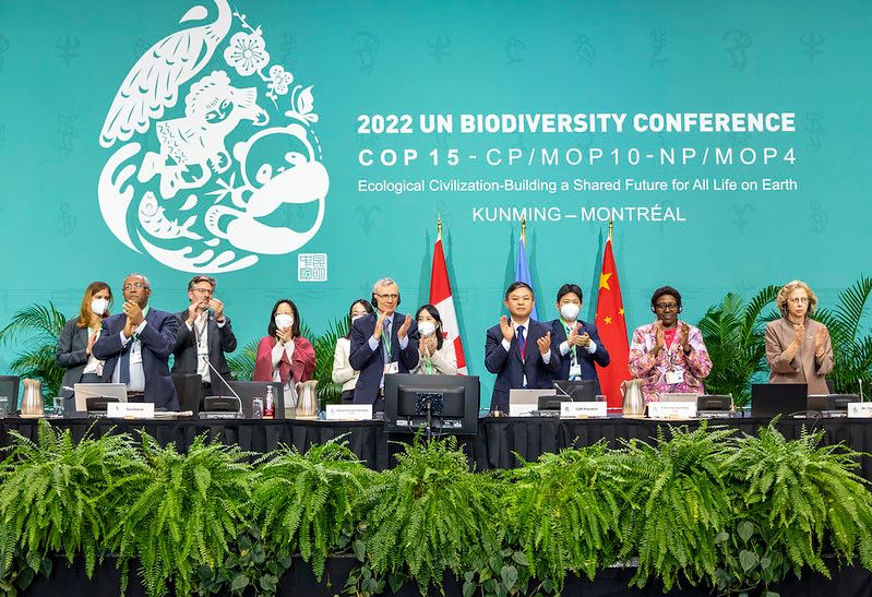 COP15 to the UN Convention on Biological Diversity: Quick history and relation to ATLANTIS