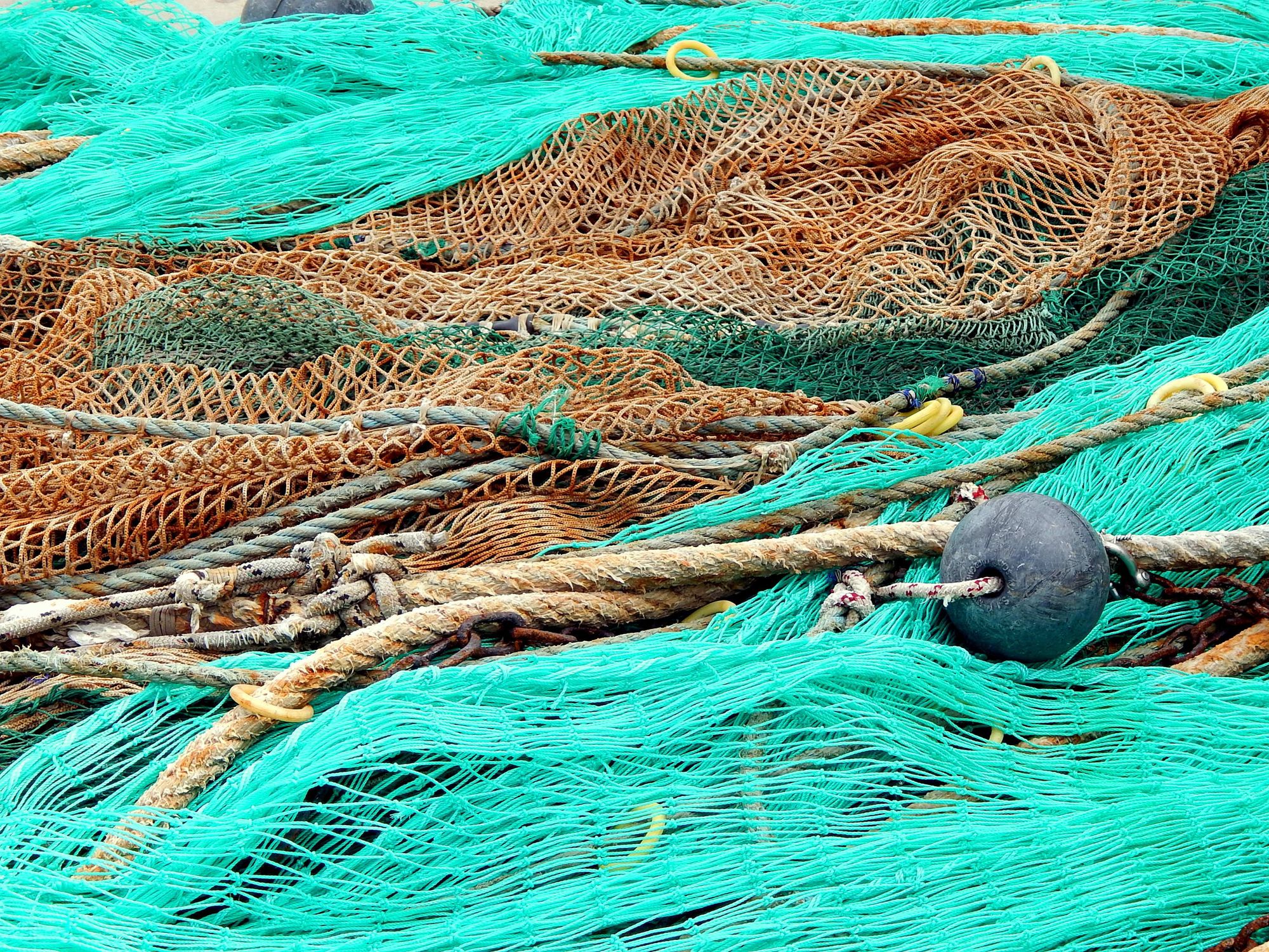 A global plastic treaty must include the fishing industry