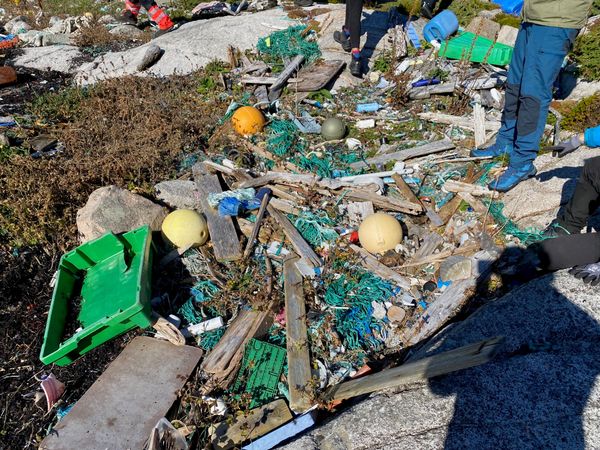 Marine plastic pollution in Trondheims neighbourhood