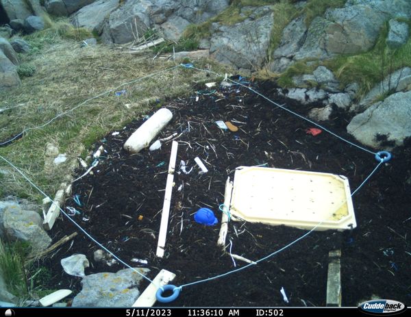 Monitoring Plastic Pollution in Frøya's Archipelago with AI