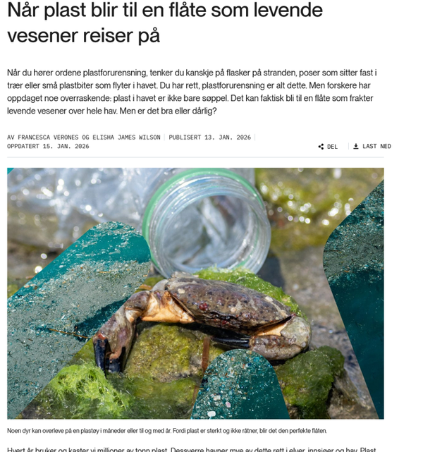 Articles for children